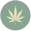 organic-cannabis.png