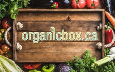 Welcome to Organicbox.ca